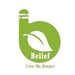 belief-automation